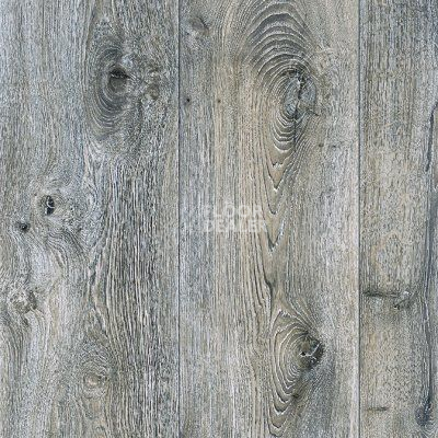 Линолеум Juteks Glory KANSAS 2_916M фото 1 | FLOORDEALER